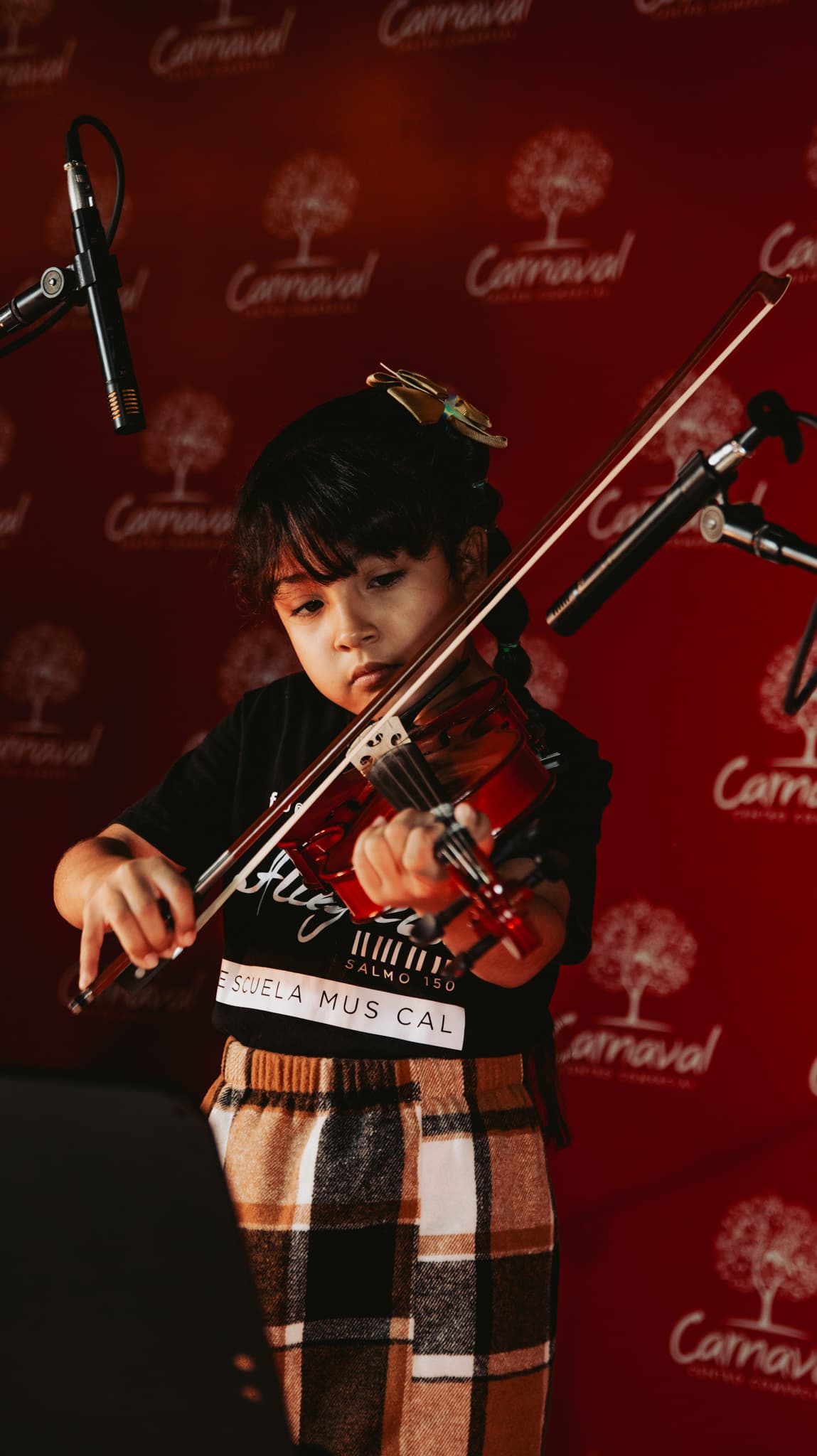 VIOLÍN